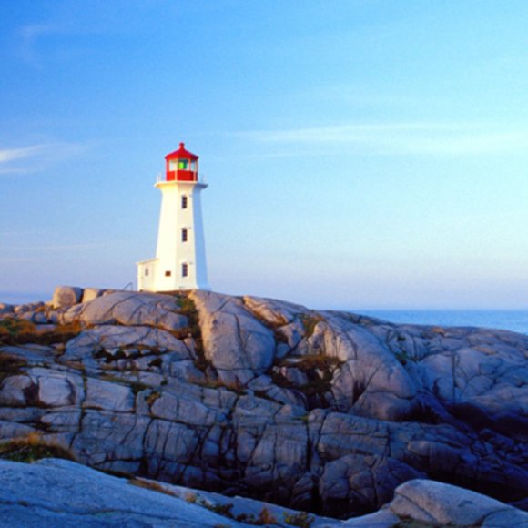 Meet your Posher, Andrea - Picture 1 of 1